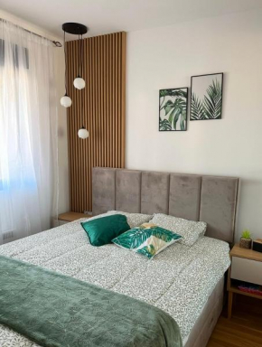 Apartman MOMENTUM
